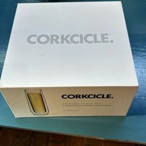 Corkcicle Stemless Double Walled Flute Glasses